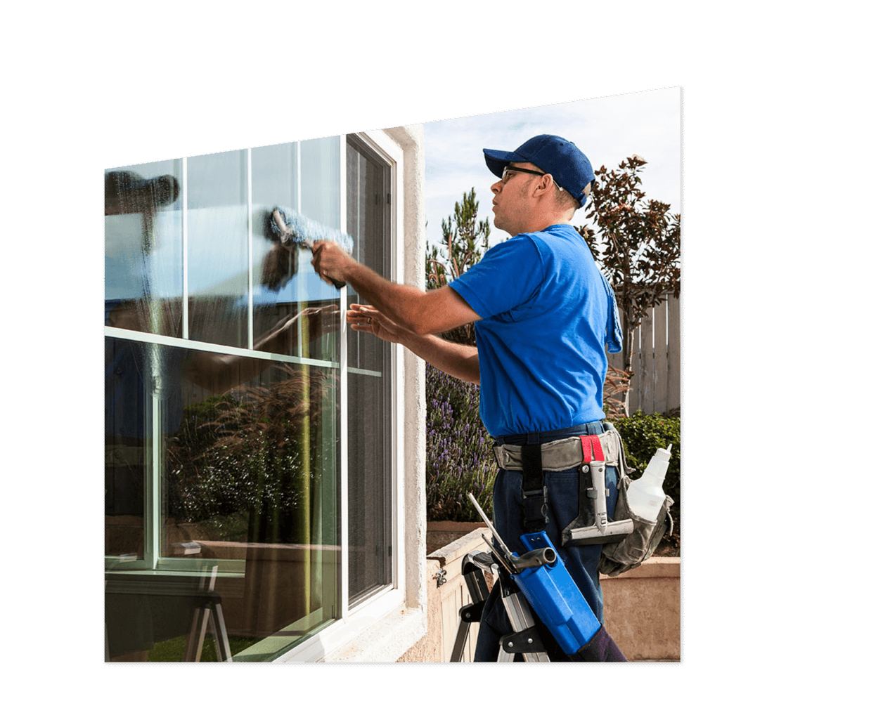 Window screen cleaning